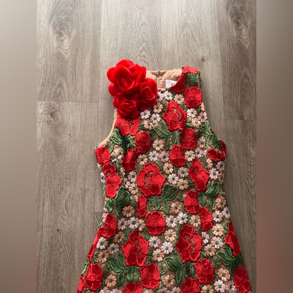 elliatt roselyn red 3d rosette flower lace guipure mini dress size small NEW - Picture 8 of 12